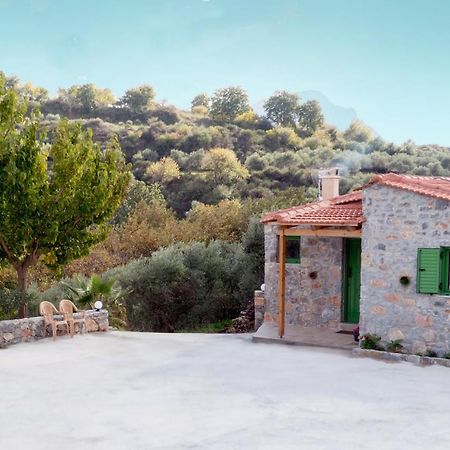Villa Elia Lambini Bagian luar foto