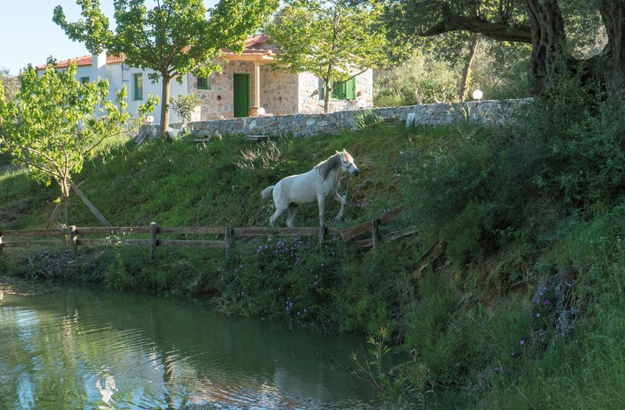 Villa Elia Lambini Bagian luar foto