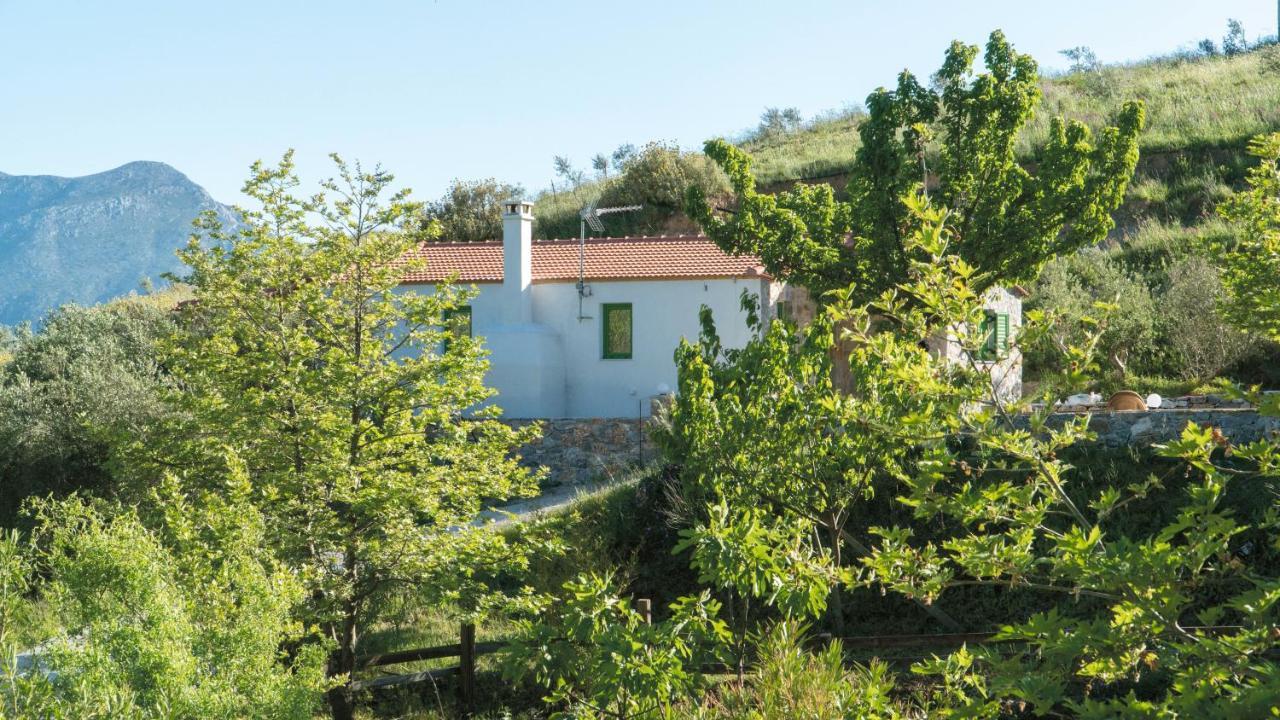 Villa Elia Lambini Bagian luar foto